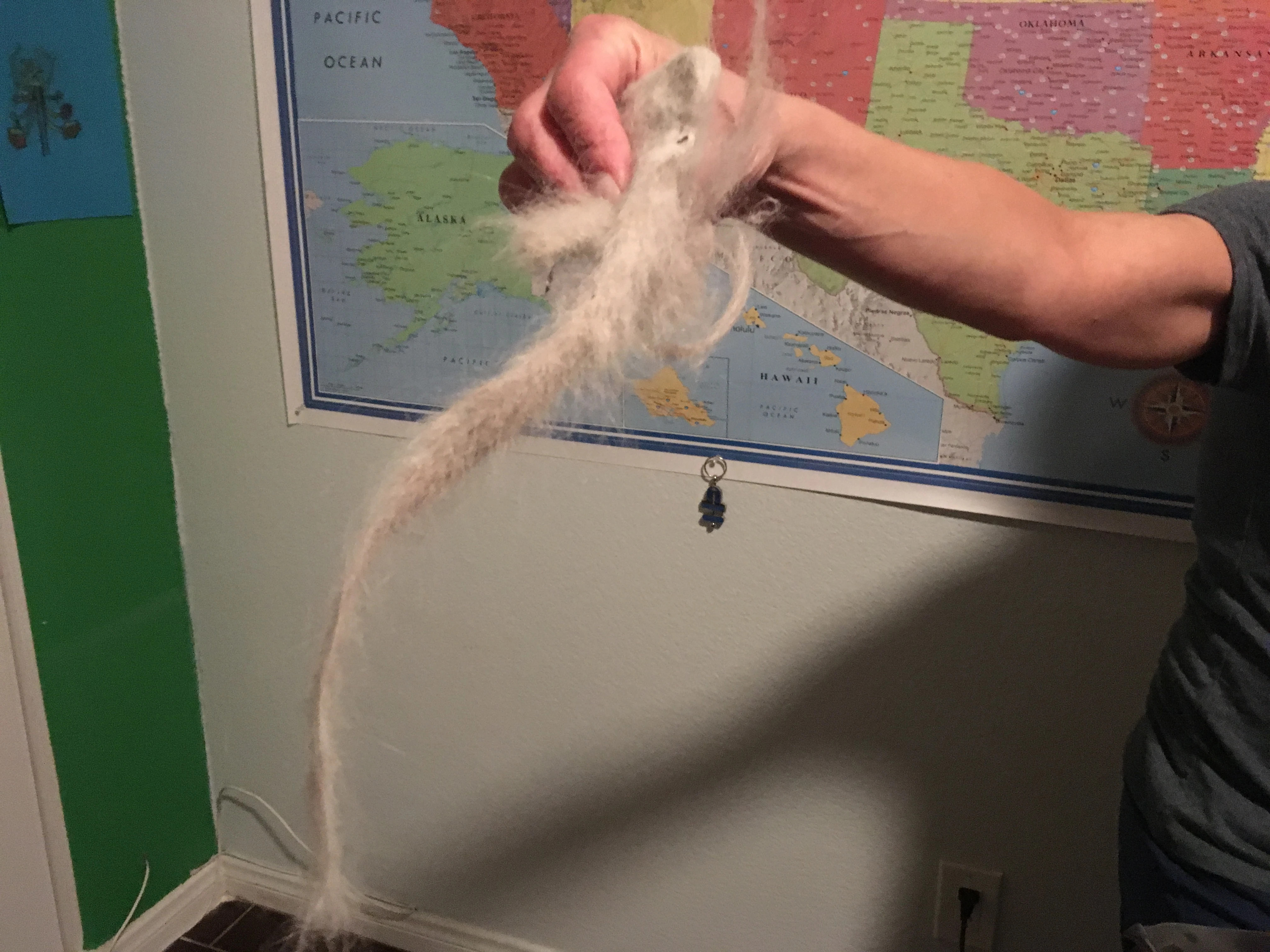 My mom holding up a piece of cat fur found within a compartment of my couch.